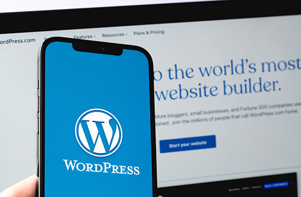 WordPress Training by Blue Kite Web Solutions LLC